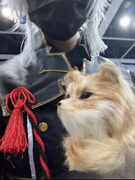 刀劍亂舞 cos服 鳴狐
