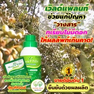 ปุ๋ยน้ำ 1 ชุด เวิลด์แพลนท์ ไคโตซาน World Plant Chitosan +สารเพิ่มประสิทธิภาพ คู่หูมหัศจรรย์