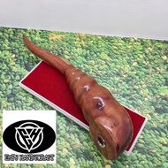 Ready || Pipa Once Kayu Stigi Asli Motif Keong Jumbo T 339
