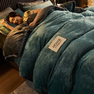 New Blue Milk Velvet Soft And Warm Duvet Cover Queen Size Double-Sided Plush Winter Blanket Bedding 