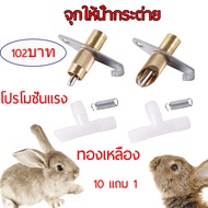 ซื้อ10แถม1 จุกให้น้ำอัตโนมัติ จุกนํ้าหนูพุก จุกให้น้ำหนูนา จุกน้ำให้หนู จุกน้ำให้กระต่ายแสตนเลส หัวจุกน้ำหนูนา