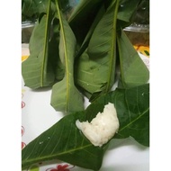 tapai pulut daun getah