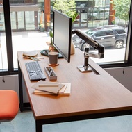 Ergotron 45-241-026 LX Desk Monitor Arm (Polished Aluminum Finish) - 10 Years Warranty