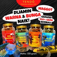 Premium Dried Maggot Fish Feed Chana Channa Auranti Maru YS Arowana Magot Tendo 130 Grams