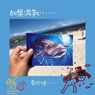 鯨鯊與魚龍捲-台灣綠島/手繪/魚龍捲/鯨鯊/潛水/明信片