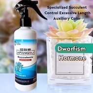 【Special Offer】Hanwu Succulent Special Short Stout Element Prevention Leaf Length Control Succulent Short Stout Element