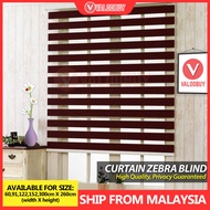 Curtain Zebra Blinds