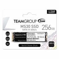 Team SSD Msata M.2 2280 MS30 256GB - 256 GB M2 Sata 3 TM8S7256G0C101