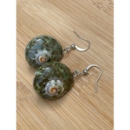 Green Deer Eye Shell Earrings Natural Shells