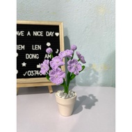 Mini wool forget-me-not flower pot for table