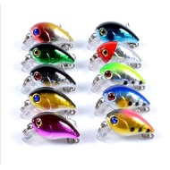 LURE FISHING FLY BAIT - LURE FLY BAIT FOR SNAKE FISH, PHI,...