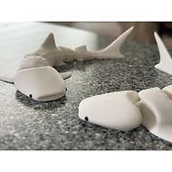 3D printed House Fish toy model, children's toy model, shark model, whale model