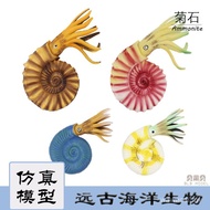 Children Animal Model Prehistoric Toys Cognitive Ancient Biology Simulation Marine Biological Ammoni