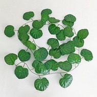 Unico PBP46 Tanaman Daun Hias Rambat Plastik Artificial Ivy Monstera Sirih Gading Anggur Semangka Sulur Leaf Ornamen Hiasan Dekorasi Ruangan COD
