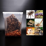 Crested Gecko Tarantula Tall Reptile Box Insect Plastic shelter Box 20*20*25 Transparent vented Tran