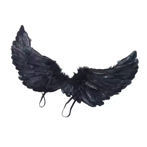 Angel Wings Black White Feathers Performed Halloween Props Bride Flower Girl Dressed Up Cosplay Anim