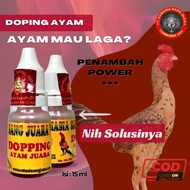 Champion Chicken DOPING || 15ml FIGHTER Chicken Contest Chicken DOPING - The Secret Of The Champion