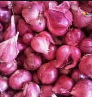 BAWANG MERAH PROBOLINGGO MURAH KERING /BAWANG SUPER paket 1kg/500gram/250gram