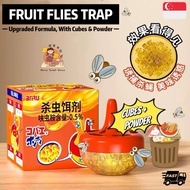 [SG] Super Effective Fruit Fly Catcher 🪤 Fruit Fly Trap Houseflies Fruit Fly Catcher