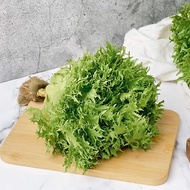 【丹雲水耕生菜】綠火焰150g、生菜、沙拉、萵苣、水耕蔬菜