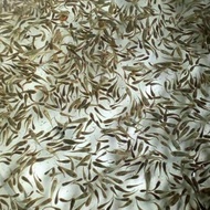 Ikan Cere Guppy Sungai Sawah Pakan Ikan Predator Kualitas Top
