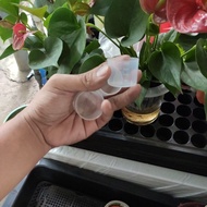 20ml liquid measuring cup, plastic graduated measuring cup (graded water fertilizer measuring cup)