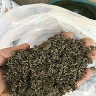 Dehydrated Azolla for pets