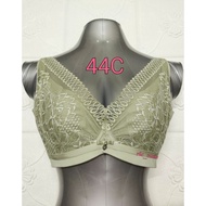 44C/100C RABBIT CUP TRANSPARENT PLUS SIZE BRA WIRED