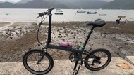 Dahon P8