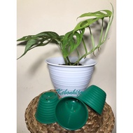 HIJAU 8cm Green Wasp Pot/8Cm Green Wasp Pot/Wasp Pot/Green Pot/Small Pot/Sukelen Pot