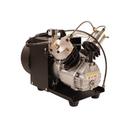 Air Compressor 4500Psi Dual Cylinder PCP Compressor High Pressure Pump for Air Gun Filling Tank 110V