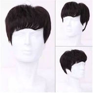 HUMAN HAIR MEN'S WIG LL01