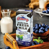 Susu UHT Cimory Blueberry 250ml / UHT Fresh Milk Blueberry / Susu Cimory Blueberry / UHT Cimory Bleb