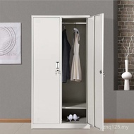 Wardrobe Tin Zhongshan Two-Door Steel Office Furniture Two-Door Locker Staff Cabinet Two-Door Dormit