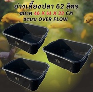 อ่างเลี้ยงปลา 62 ลิตร ระบบoverflow 46 x 61 x 22cm วาล์วฟ้า อ่างปลา อ่างเลี้ยงปลา กะบะปลา อ่างปลาบอลล