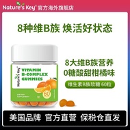 Nature'sKey Multivitamin b Multivitamin b2b6 Folic Acid Niacinated Biotin Sugar-Free Gummy 3.99
