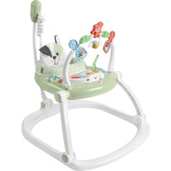 Fisher-Price Baby Bouncer SpaceSaver Jumperoo Musical Activity Center with Lights Sounds