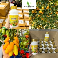 ปุ๋ยเพิ่มผลผลิตให้พืช กระตุ้นการออกดอก เร่งผลใหญ่ขึ้นถึง 10 เท่า ปุ๋ย Vio Super Big X10