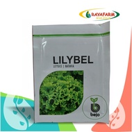 Dijual Benih Bibit selada Batavia Lilybel 1000 pill - Bejo Limited