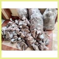 ✲ ➟ ◈ volva mushroom kabuteng saging 500g kabuteng binhi