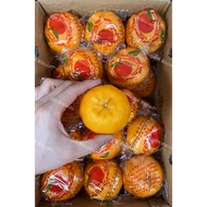 Selecteg Yong Chun Lokam Mandarin Orange  ( Size L 1KG or 4 KG ) Segar dan Manis  ，精选 永春芦柑 新鲜&甜美 👍👍👍