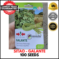 EAST-WEST SEEDS - SITAO / SITAW SEEDS - GALANTE - 100 Seeds