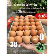 ไข่ไก่ ส่งฟรี (30ฟอง) ไข่ไก่สดใหม่ เบอร์0