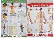 臺灣現貨免等 佳樺簡體版標準經穴部位圖/經絡刮痧掛圖(M71)人體穴位圖穴道圖刮痧保健掛圖經絡刮痧圖施灸取穴圖針灸穴位圖