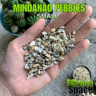 Assorted Mindanao Pebbles (SMALL)  - 10 KILO BAG