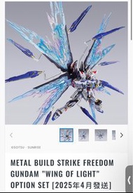 METAL BUILD STRIKE FREEDOM GUNDAM "WING OF LIGHT"OPTION SET