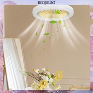 [Redjie.sg] Ceiling Fan with LED Lighting 30W 36W Ceiling Fans Light for Bedroom Living Room