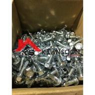 #8 x 5/8" ( DS 516 HO) IN. ZINC PLATED HEX HEAD SELF DRILLING SHEET METAL SCREW SKRU BUMBUNG KUDA
