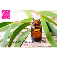 Eucalyptus Essential Oil/