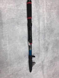磯釣竿